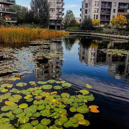 아파트 Lake Park Apartament With Free Parking Airport Netflix