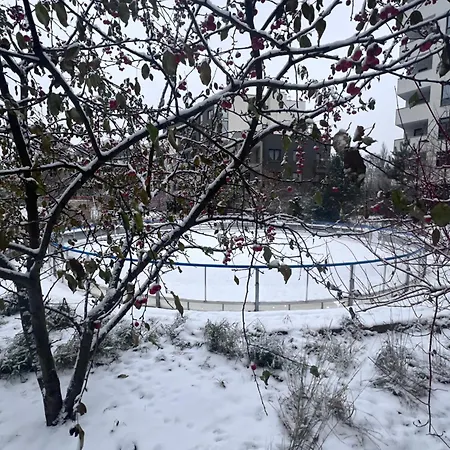 Lake Park Apartament With Free Parking Airport Netflix Apartman