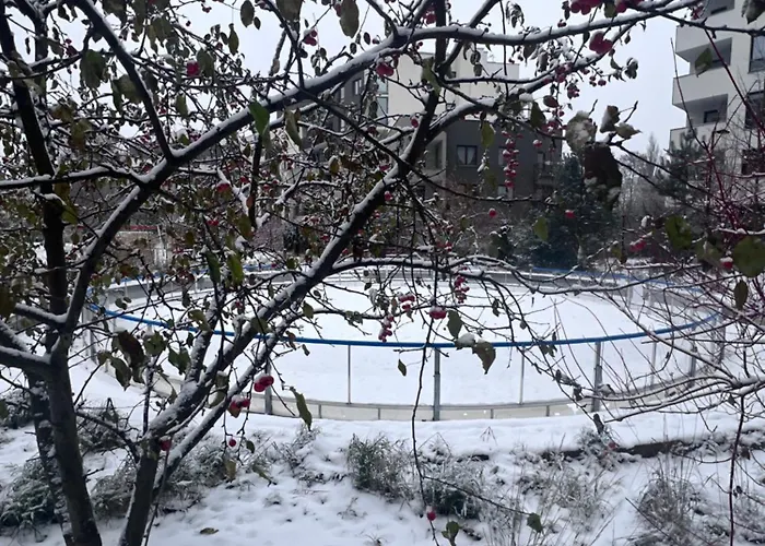 Lake Park Apartament With Free Parking Airport Netflix 아파트